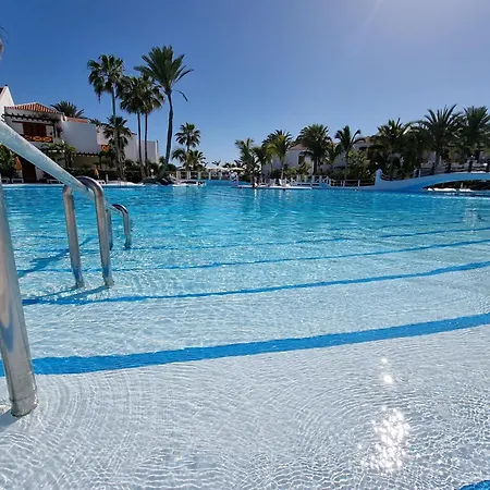 First Sealine Studio No 2 Close To And Sea, Terrace, Heated Pool, Wifi Playa de las Americas (Tenerife)